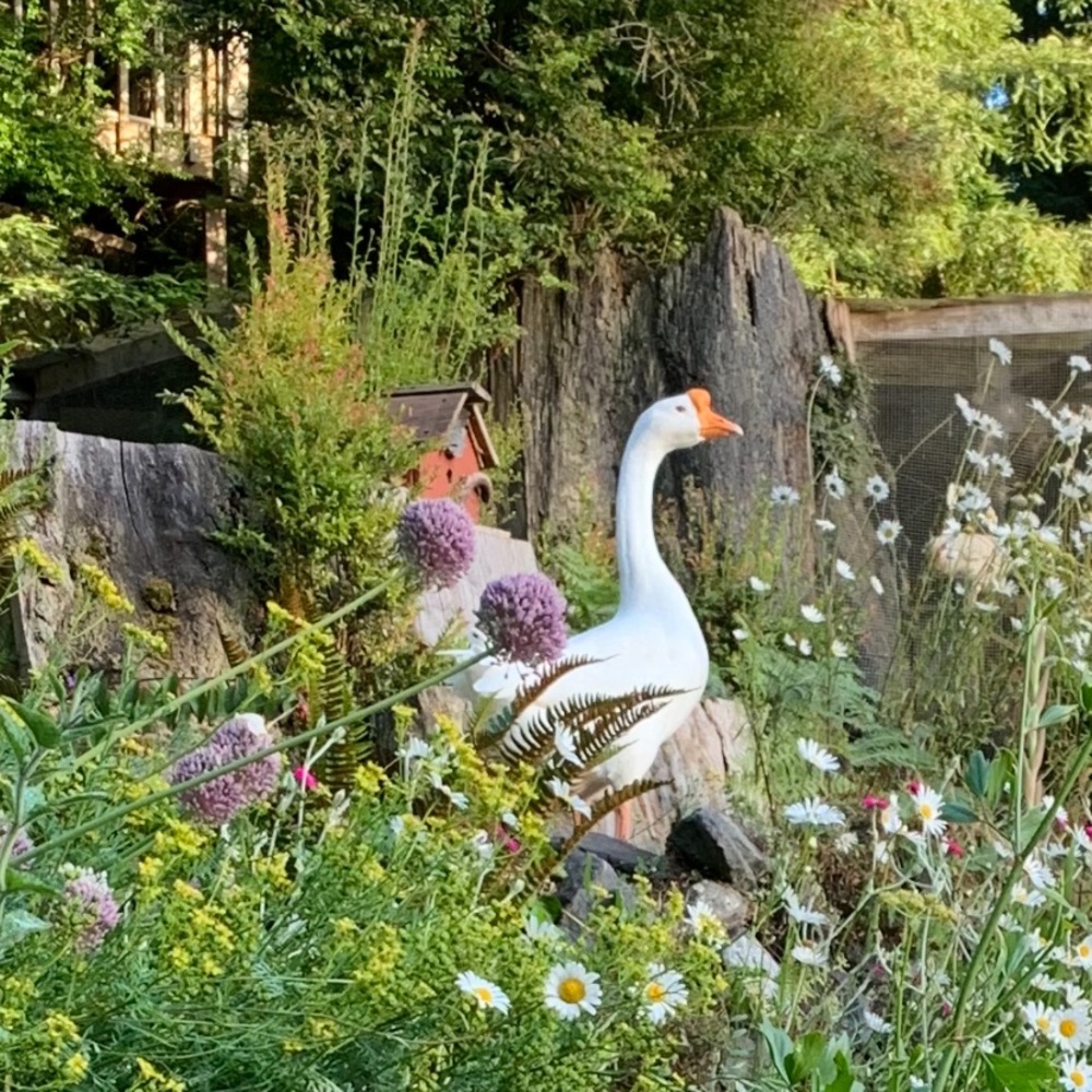 Meet your Posher, Jenney